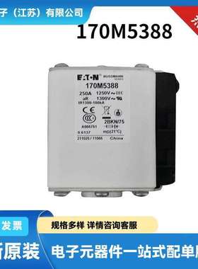 BUSSAMNN巴斯曼保险丝 快速熔断器170M5388 170M5410 170M5447