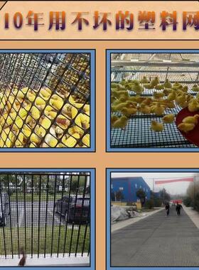 加厚塑料养殖网养鸡围栏网胶网鸭鹅隔离网圈玉米围网家用户外栅栏