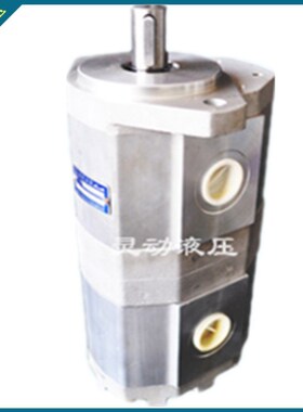 双联齿轮油泵CBQL-E550/F520-CFH*高压高转速CBQL-E550/F525-CFH*
