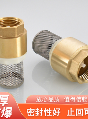 4分6分1寸黄铜带过滤网止回阀1寸1.5寸2寸3寸水泵抽水机单向阀