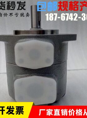 O低噪P--2Q1SP1TO计-QB-IYKKE 东京15KC-182音18-P21-器IS 叶片泵