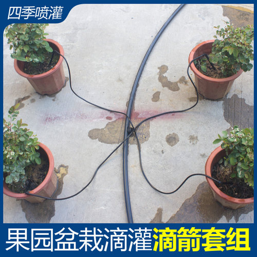 果园滴箭8升4升滴头滴灌全套设备稳流器自动浇花器盆栽果树滴水