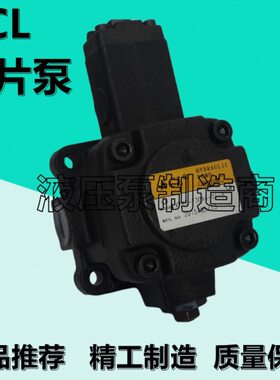 /A1凯嘉20/5-KC1V叶片泵A4-F/-A2F4F41//2PV-FKC/0-30PA10A3-油泵