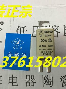 上海厂20 3250V-00 电器N40 灵 63A熔断器  40 025AAA陶瓷A GTA飞
