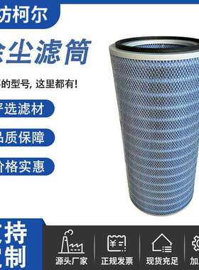 自洁式滤芯P190818阻燃空气滤芯防火耐高温阻燃除尘滤筒