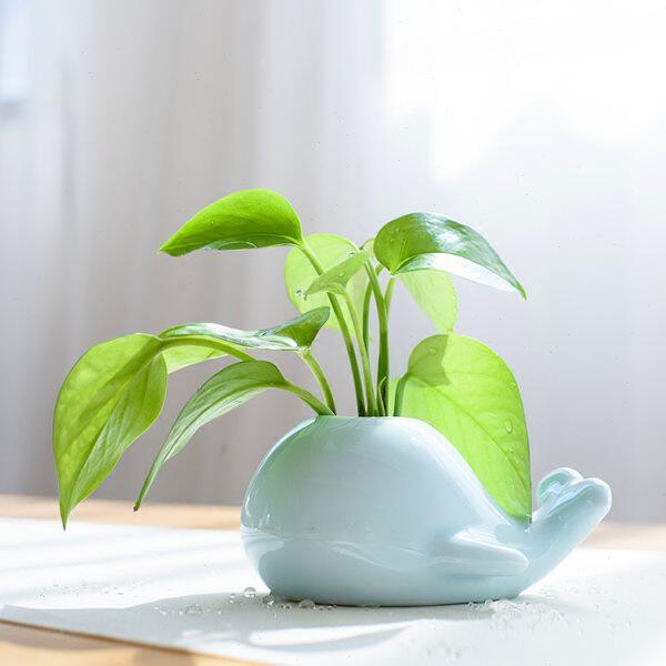 青瓷水培花 创意鲸鱼时尚个性大象插小花瓶家居 花器陶瓷摆件茶道