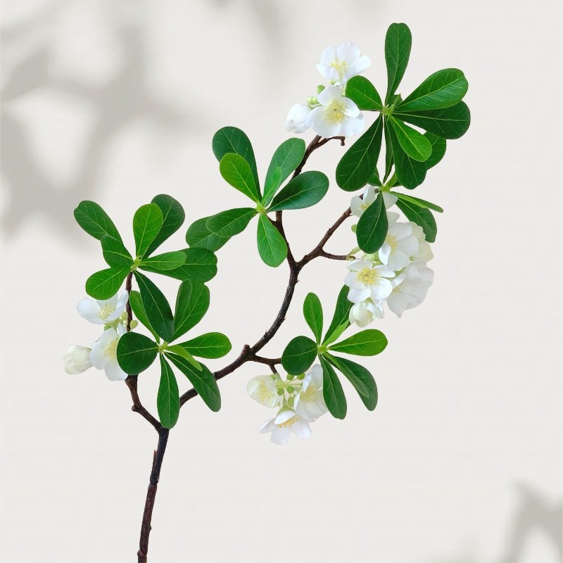 彷真花假花海桐花客厅卧s室餐桌摆件摆设花艺家居民宿彷生花高级