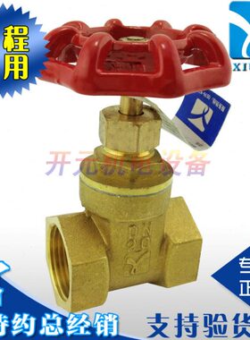 段压/016阀0TN15N1前机电用]DZ1[D铜全铜/元表工程家装5W--开闸阀