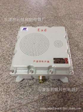 BHY-30W/100V防爆壁挂式音箱 有源防爆扬声器 壁挂式 监控
