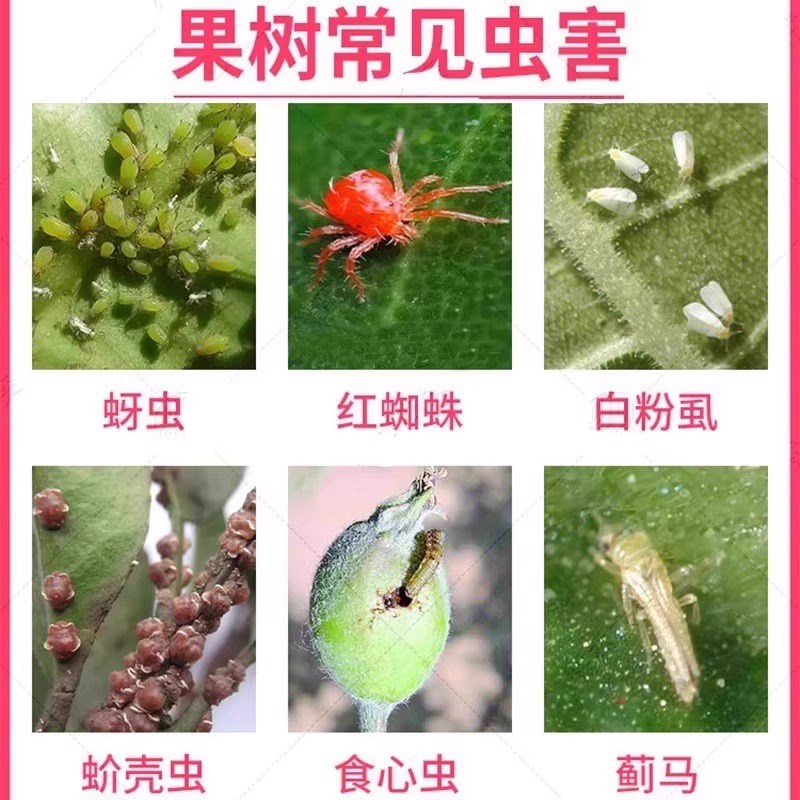 桃树杀虫专用药果树杀虫防虫克星除食心虫钻心虫红蜘蛛蚜虫病菌清