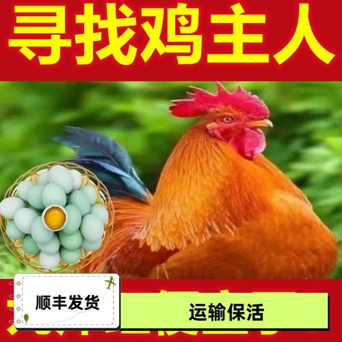 【20斤】巨型九红散养大公