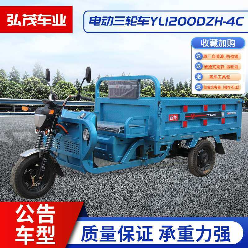 常州新款电动三轮车拉货载货田园农用载重王接送孩子老年代步三轮