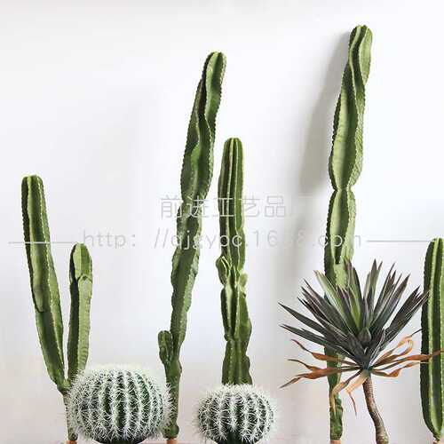 仿真仙人柱PU手感天轮柱仙人掌热带沙生植物网红店装饰假绿植