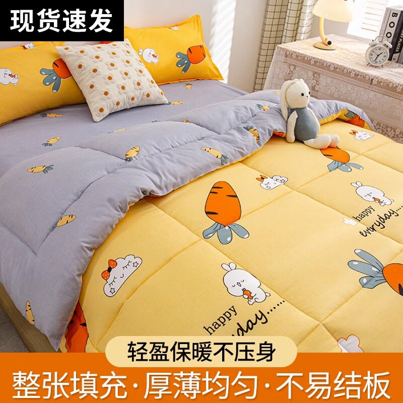 被子冬被加厚被芯冬季加厚保暖y春秋被宿舍单人学生空调被四季通