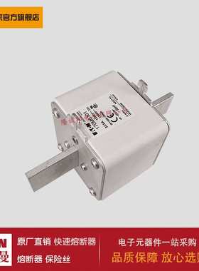 熔断器170M6281 170M6299 170M6301 170M6303 170M6325 170M6376