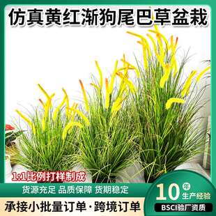 现货仿真狗尾巴草仿真芦苇仿真植物落地家居橱窗摆件盆景绿植