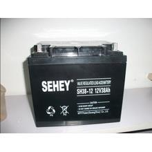 西力蓄电池12V38ah蓄电池SH38-12铅酸蓄电池质保三年