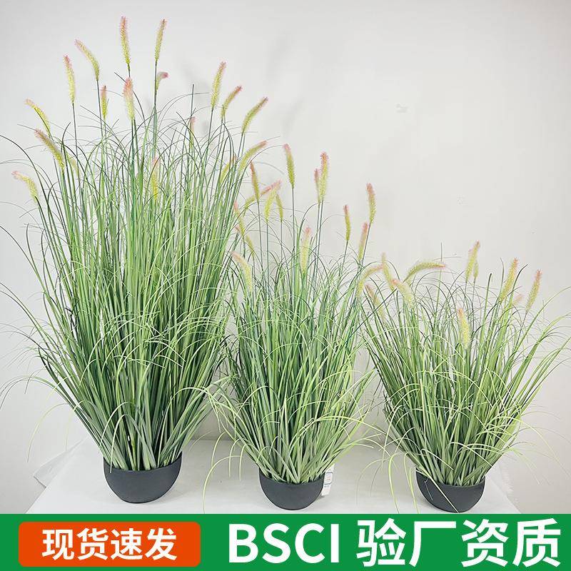 仿真绿植短狗尾草芦苇室内盆栽摆件仿真草景观秋季装饰氛围感