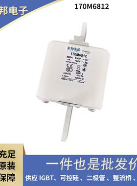 170M6731170M6732170M6734170M6738原盒快速熔断器保险丝