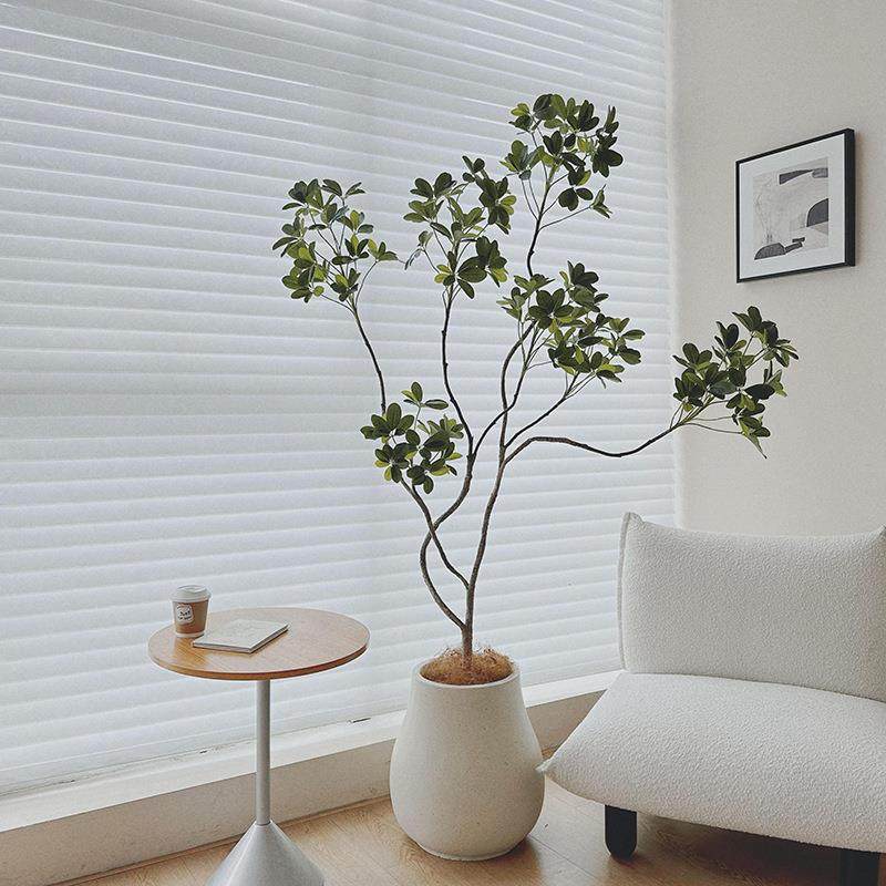 楼夏家鸭掌木仿真绿植室内客厅盆栽高端轻奢装饰摆件落地仿生假植,鲜花速递/花卉仿真/绿植园艺,其它园艺用品,淘宝优惠券,粉丝福利购,淘宝优惠卷