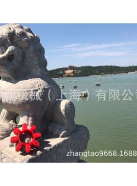 联轴节梅花型弹性体/缓冲垫GR125红色/爪型对轮胶圈橙色兰州现货