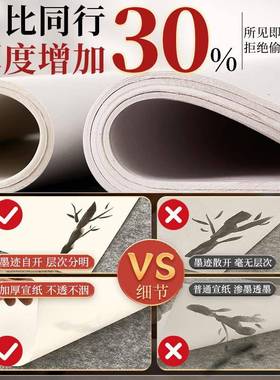 宣纸生宣4K8K绘画套装国画熟宣四开八开书画学生水墨画4开8开a3a4