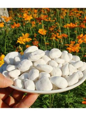 浅灰色灰色景观专用红色鹅卵石-圆滑小石子-红沙造景装饰材料