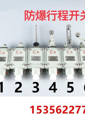 行程开关BZX51DLXKLX5-5Z/L/B/D/H/N110L110Z211B221