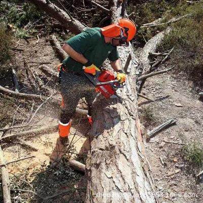 叶红油锯MT6500切割锯汽油砍树机园林伐木锯二冲程汽油家用链锯