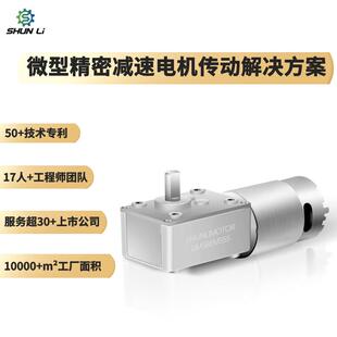 直销5840涡轮蜗杆自锁电机12/24V水纹灯电机大扭矩减速电机