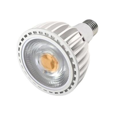 LEDpar灯帕泡15W20W25W30W 灯泡射灯餐厅服装店商场 PAR30射灯
