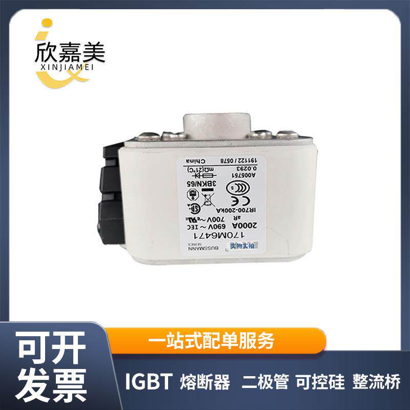 170M6471 170M6498 快速熔断器 保险丝 电子元器件 量大价优