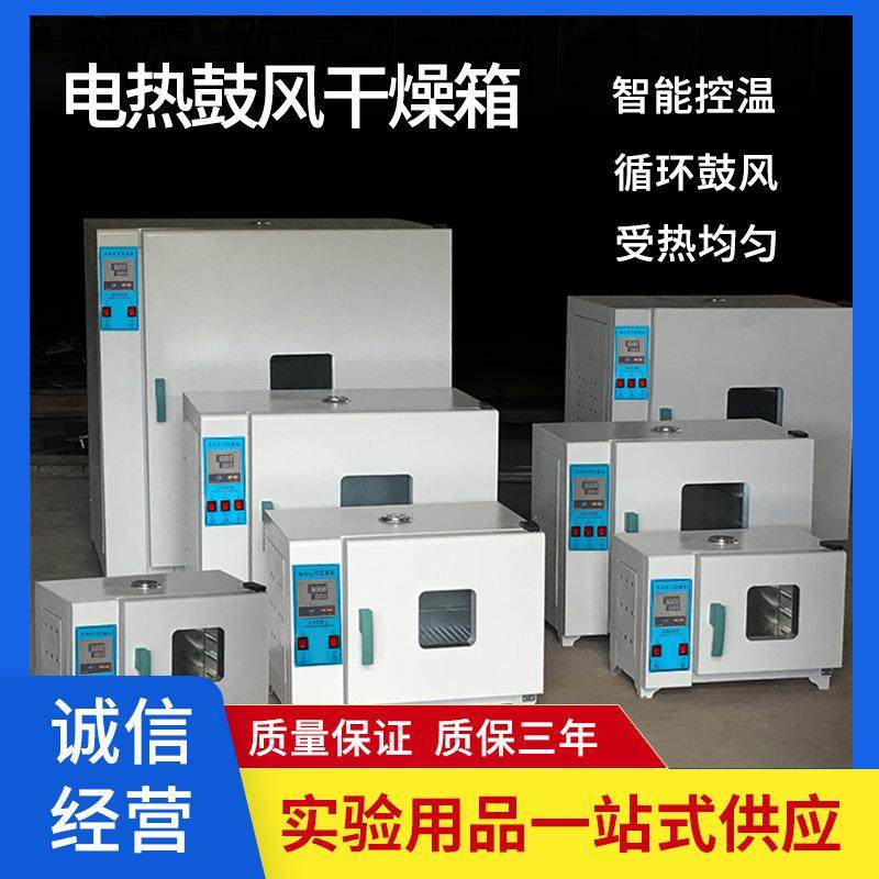 电热恒温鼓风干燥箱实验室工业烘干箱食品烘干机小型烘箱恒温烤箱