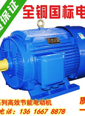 全铜三相异步电动机11/15/18.5/22/30/37/55千瓦45KW国标3Z80V电