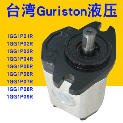 齿轮泵1GG1P09R/P02R/P03R/P04R/P05R/P06R/P07R/P08R/P01R油泵