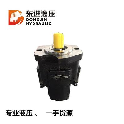 卡萨帕KP30.29-A8S9-LMD/MB 山河智能90齿轮泵