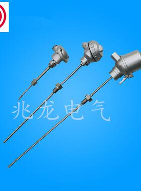 SBWZP2-231双支一体化热电阻 贴片式抗震耐磨热电阻系列