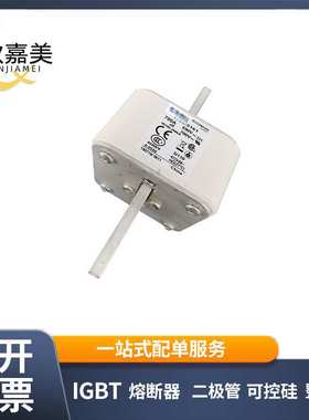 170M6161 170M6163 快速熔断器  保险丝 电子元器件 量大价优