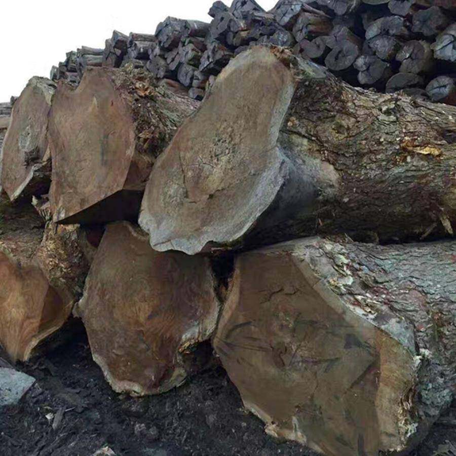 【南美胡桃木】原木板材 琥珀木家居彩大板材 琥珀木 雨木 花梨木