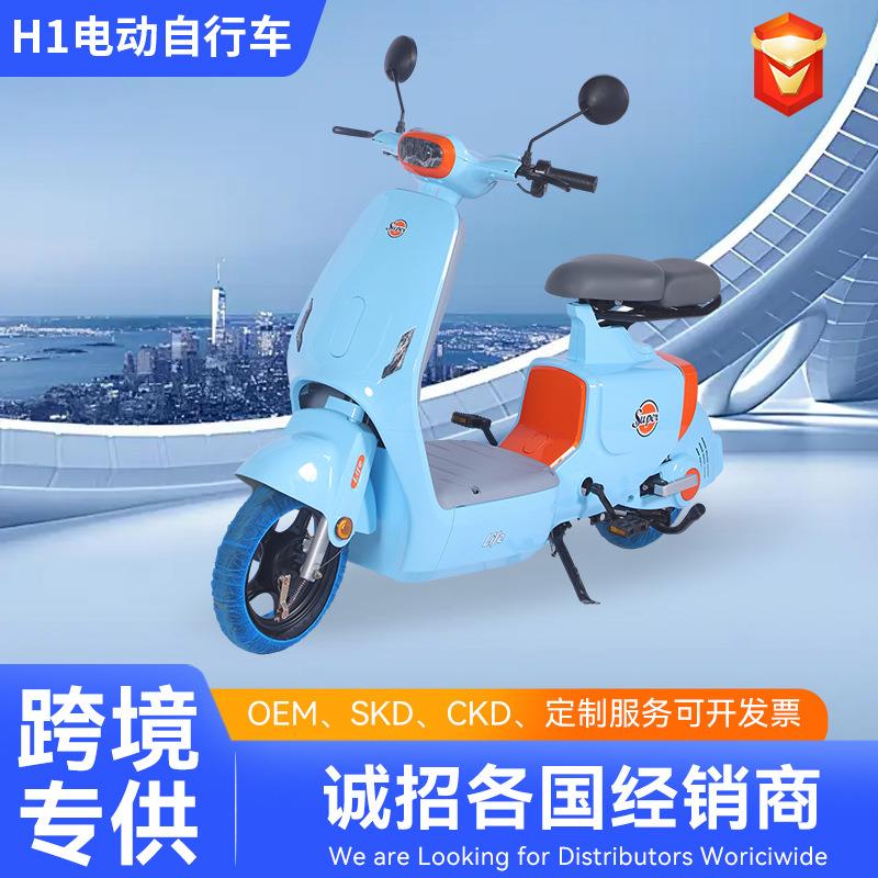 跨境H1新款电动车定制图案、定制logo、代步两轮定制电动自行车