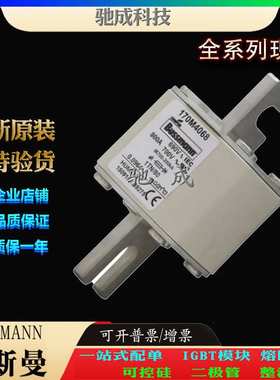 巴斯曼170M4068 170M4069 170M4108 厂家原装厂价直供 快速熔断器