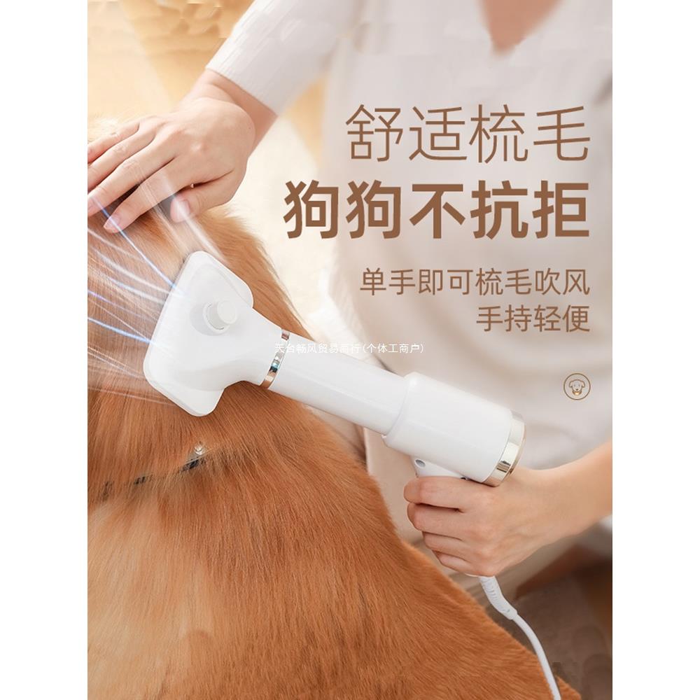 拉毛一体洗澡宠物吹风机狗狗吹水机专用烘干神器猫咪泰迪静音吹毛