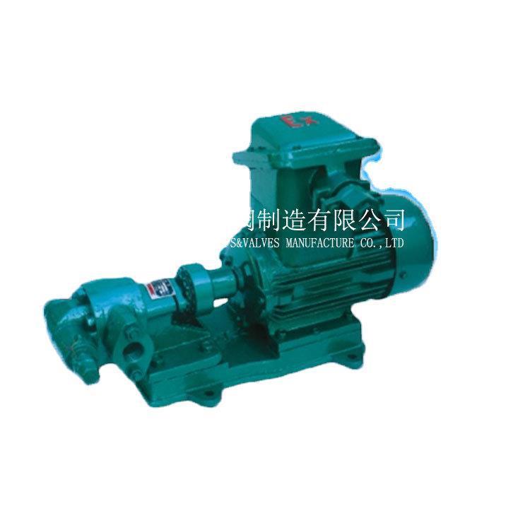 上海供应2CY-18/0.36齿轮油泵泵体 HT200增压380V齿轮泵