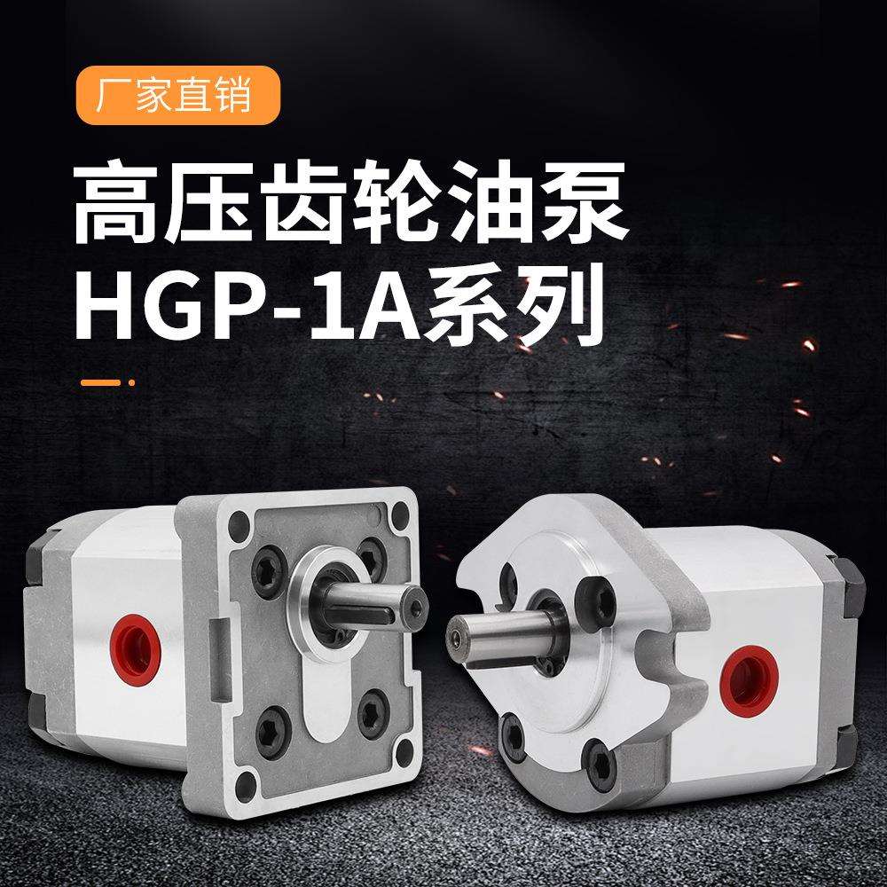 巨丰直销小型高压齿轮泵 HGP-1A液压泵 注塑机微型油泵压力控制器