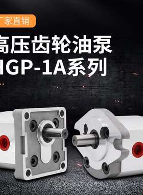 巨丰直销小型高压齿轮泵 HGP-1A液压泵 注塑机微型油泵压力控制器