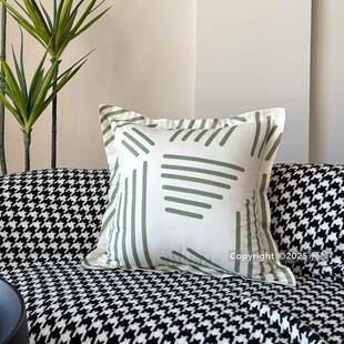 好看的纯棉抱枕套客厅沙发靠垫套40x40清新印花x45床头靠背不含芯