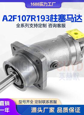 液压马达A2F107R1P3/A2F107/160/125/63斜轴式柱塞马达