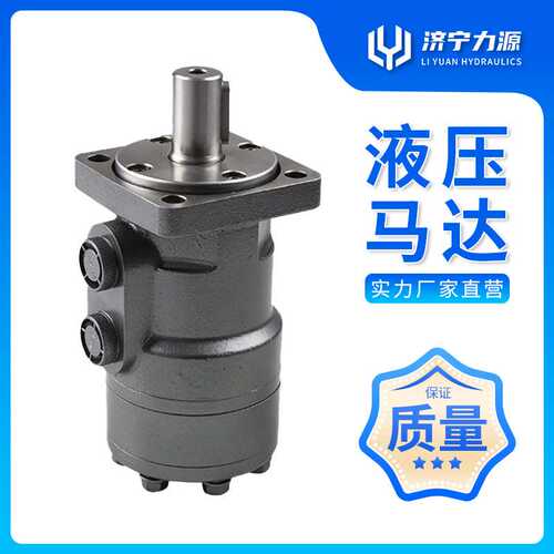 牌摆线液压马达价格 BM1 济宁力源生产 摆线减速机液压马达