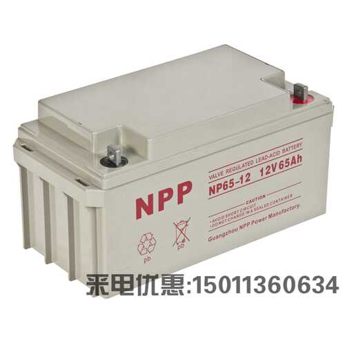 NPP耐普蓄电池NPG12-65 12V65AH 机房UPS通讯太阳能路灯ups eps