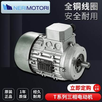 供应意大利NERIMOTORI三相异步铝壳电动机T80B2 HE280B4 HE390LA4